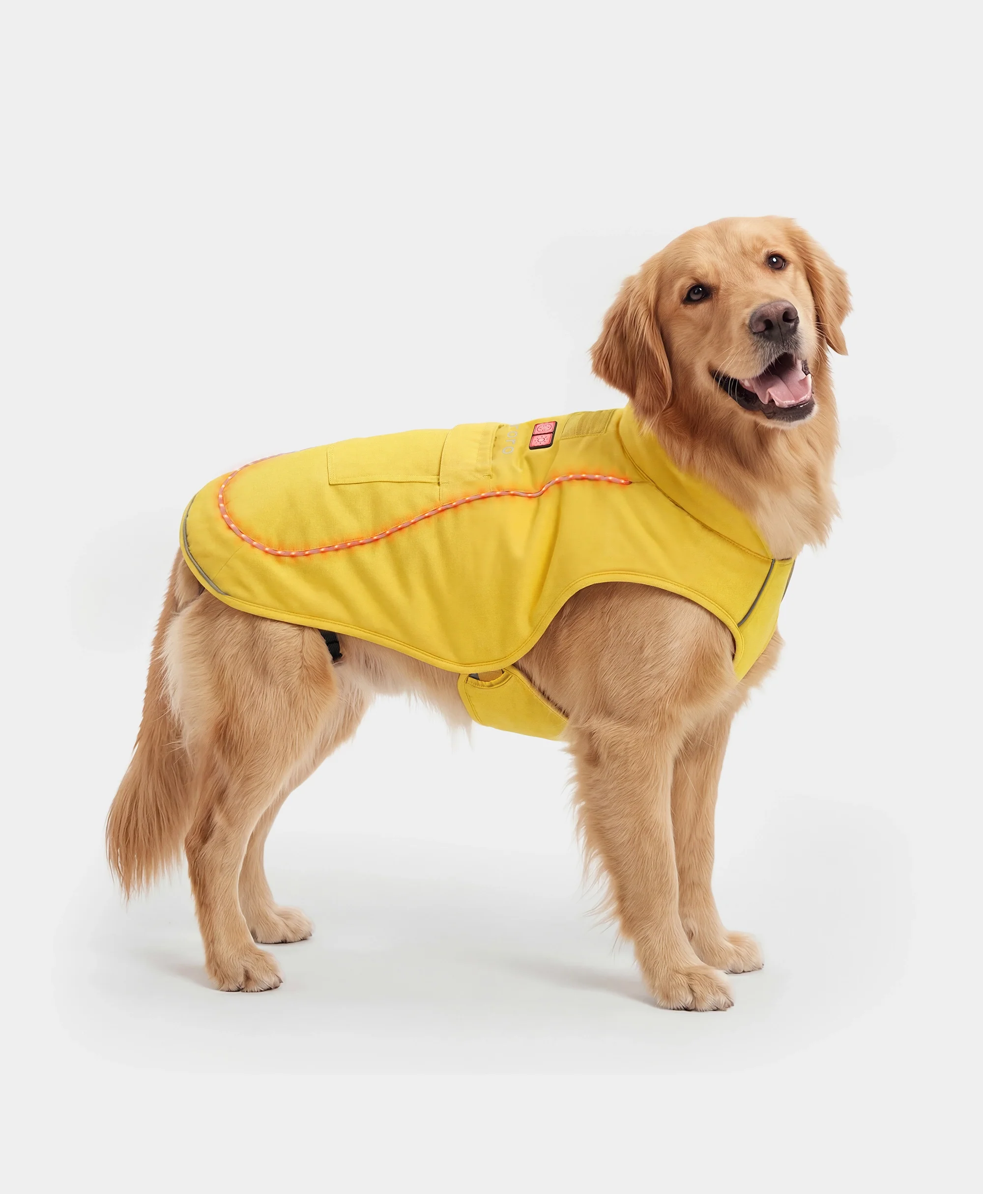 Koldpwoof 4-Zone Heated Dog Vest w/ LED Lights - Image 18