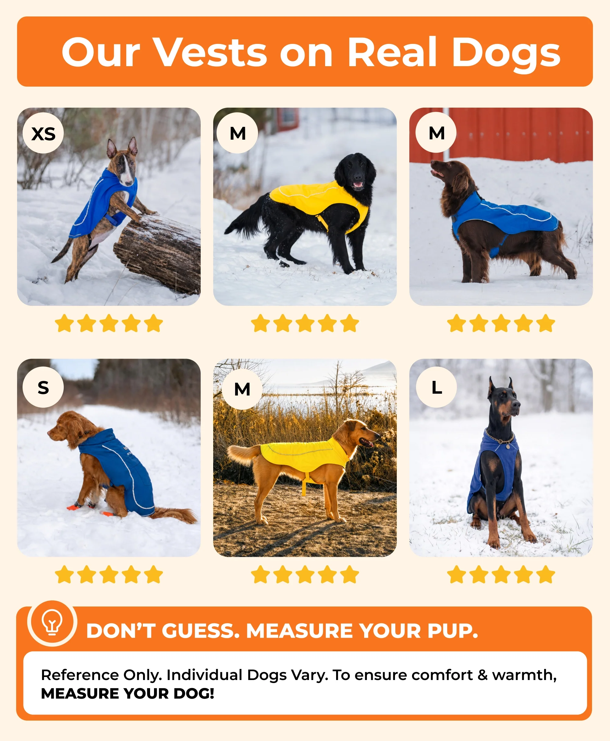 Koldpwoof 4-Zone Heated Dog Vest w/ LED Lights - Image 25